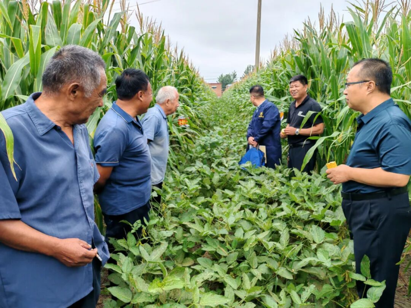 1760490855163049B12k.png 图片1.png